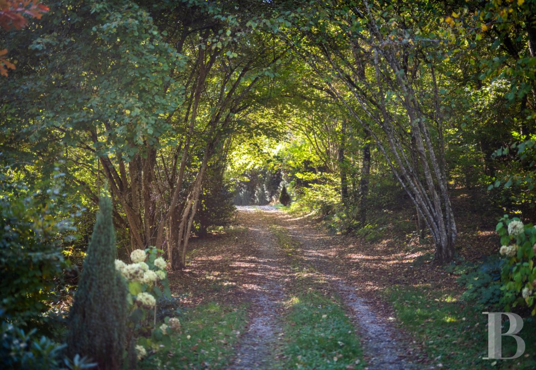 character properties France limousin   - 16