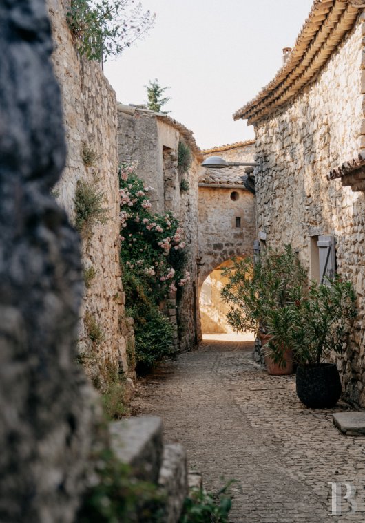 En Drôme provençale, au cœur des Baronnies,  un ensemble de maisons restaurées dans un village médiéval préservé - photo  n°9