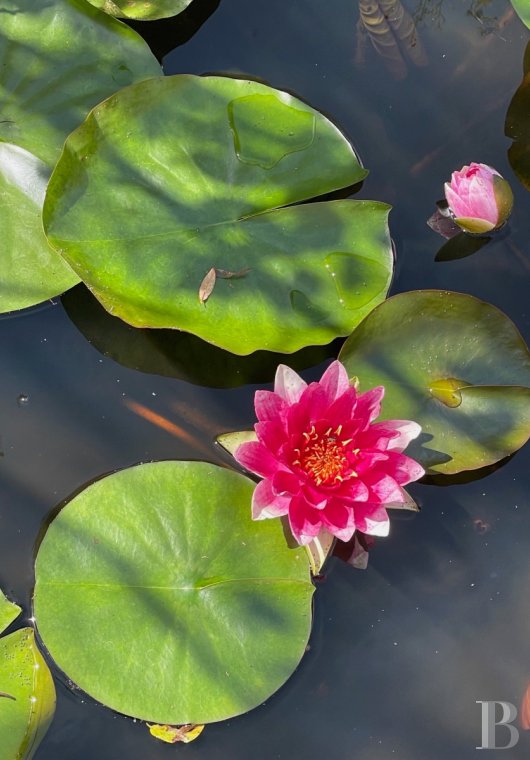 immobilier prestige lorraine   - 14