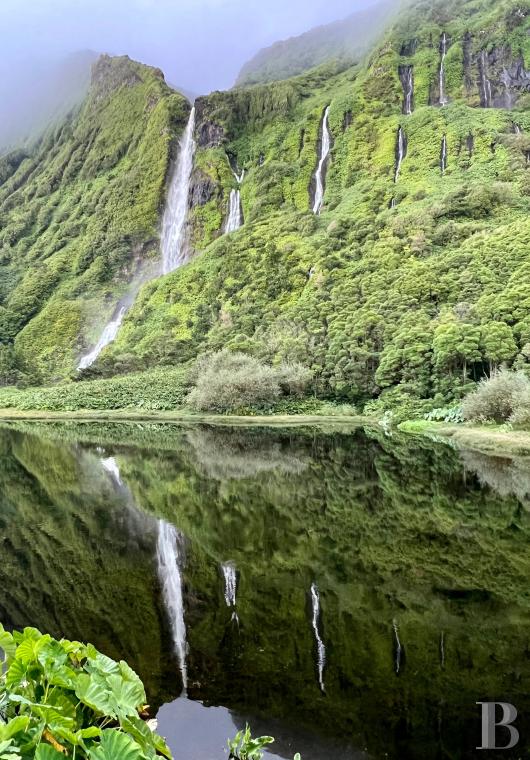 Stay in a 1970s villa on the island of Flores, in the Azores archipelago - photo  n°22