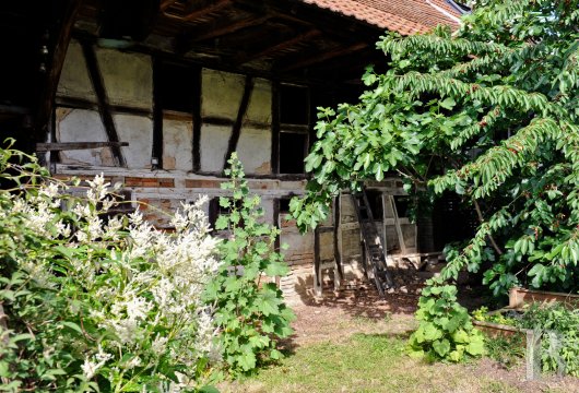 maisons de caractere a vendre alsace   - 13