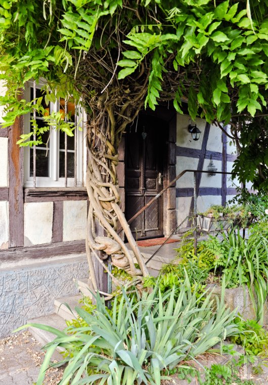 maisons de caractere a vendre alsace   - 4