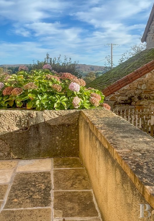 character properties France burgundy   - 6