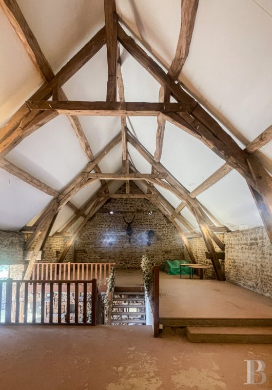 character properties France burgundy   - 13