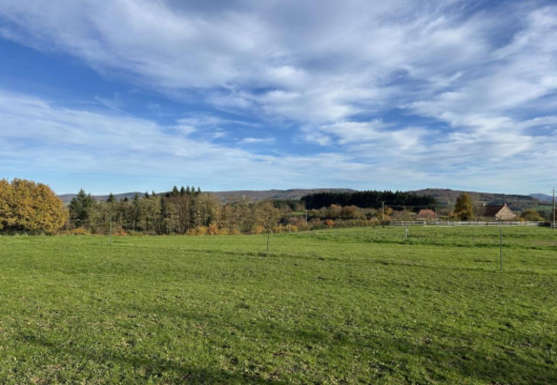 character properties France burgundy   - 18