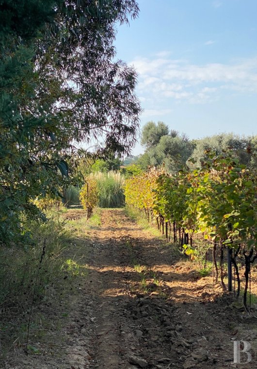 maisons de caractere a vendre paca   - 15