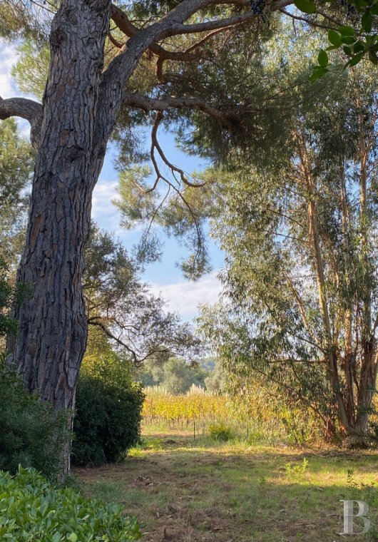 maisons de caractere a vendre paca   - 16