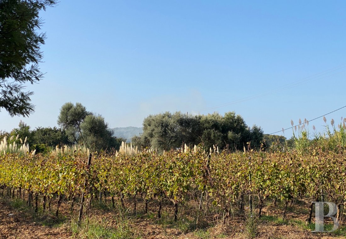 maisons de caractere a vendre paca   - 17