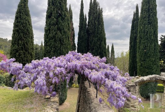 mas a vendre paca   - 32