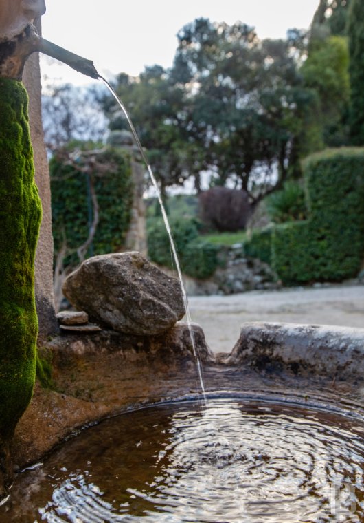 mas a vendre paca   - 3