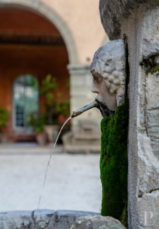 mas a vendre paca   - 2