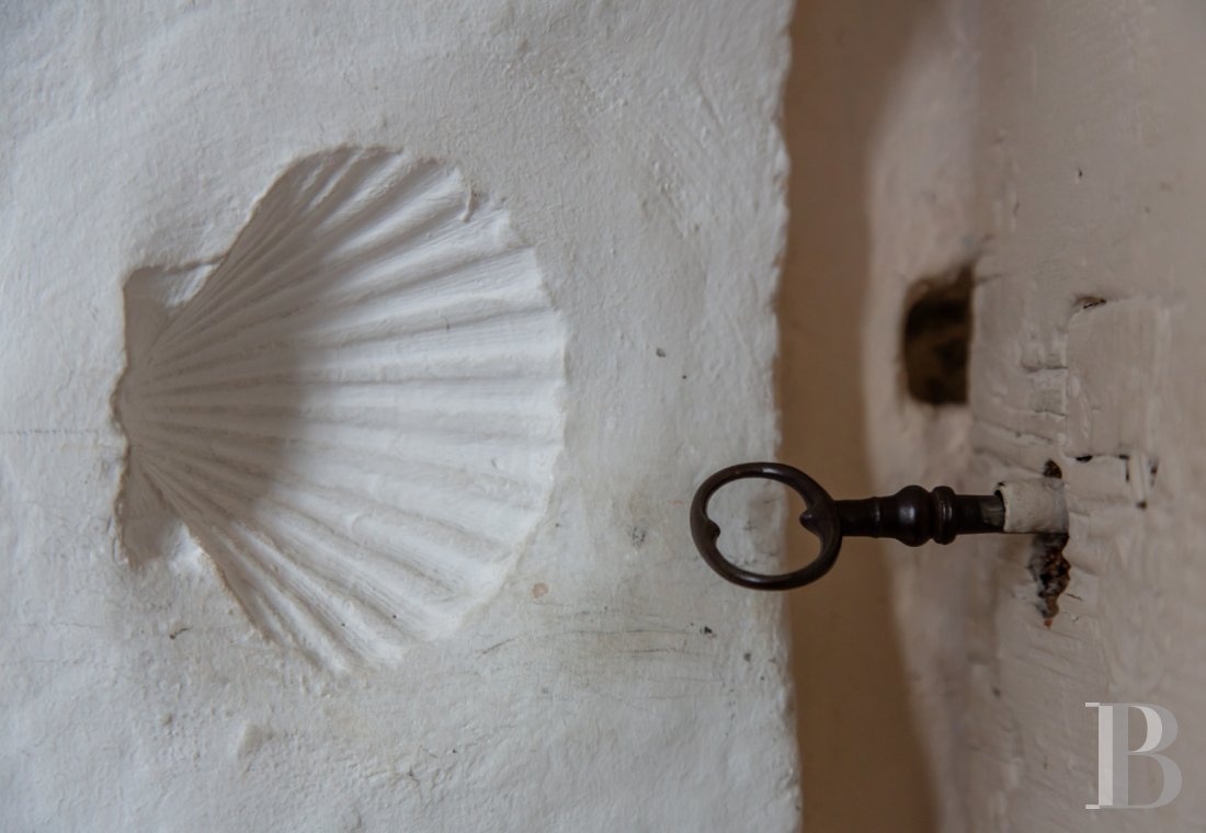 mas a vendre paca   - 36