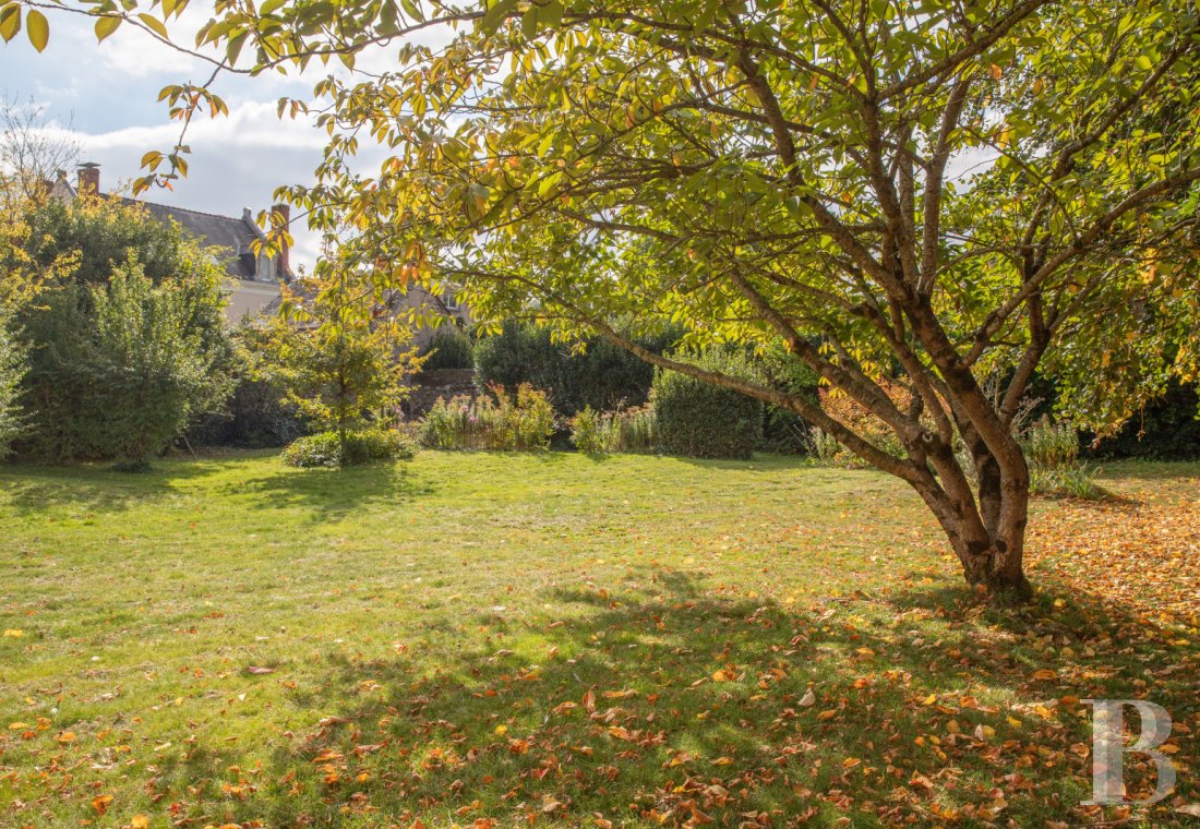 mansion houses for sale France pays de loire   - 14