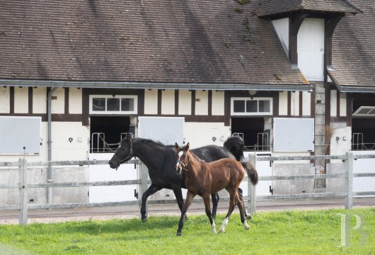 french equestrian properties for sale picardy   - 8