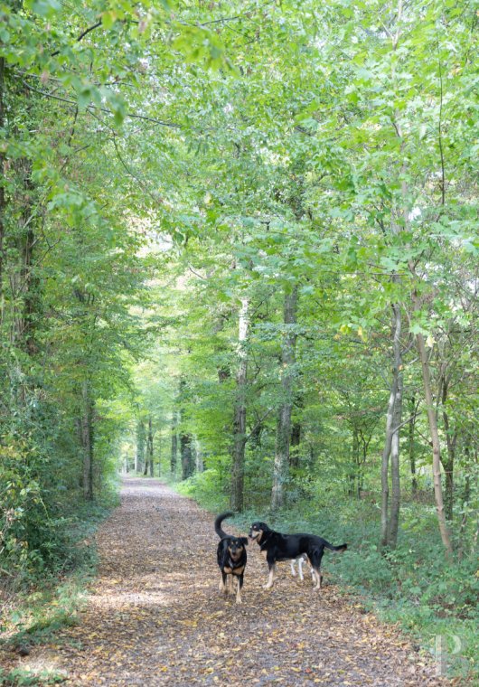 french equestrian properties for sale picardy   - 13