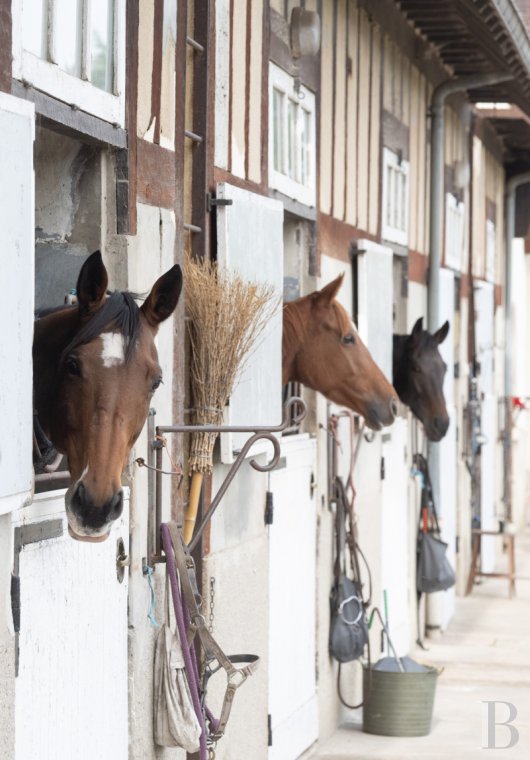 french equestrian properties for sale picardy   - 7