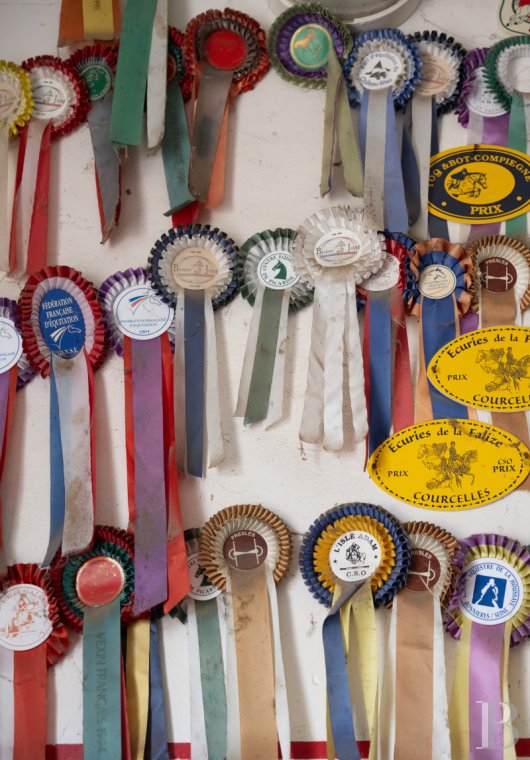 french equestrian properties for sale picardy   - 11