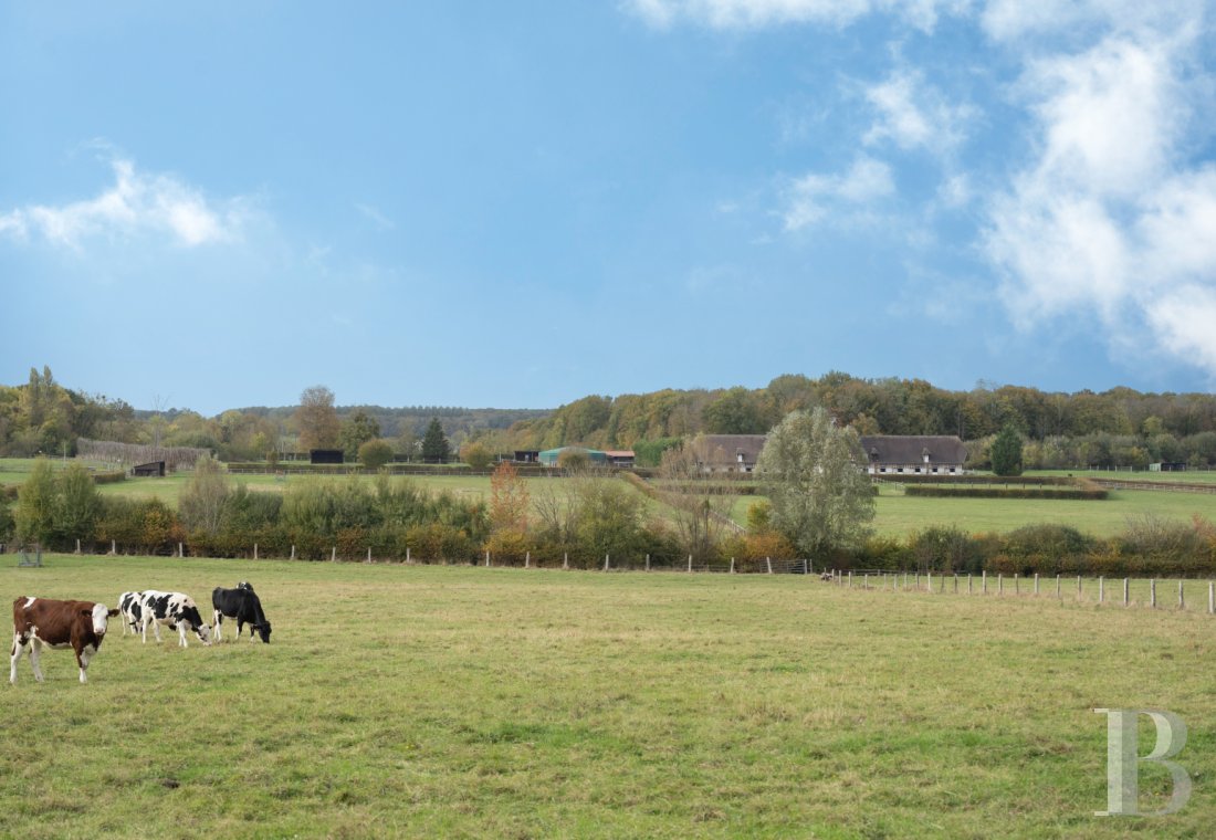 french equestrian properties for sale picardy   - 15
