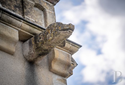 chateaux for sale France aquitaine   - 5