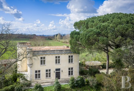 chateaux for sale France aquitaine   - 3