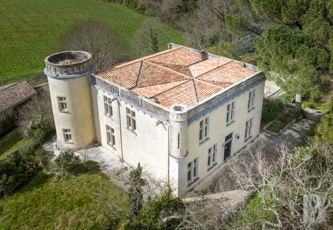 chateaux for sale France aquitaine   - 2