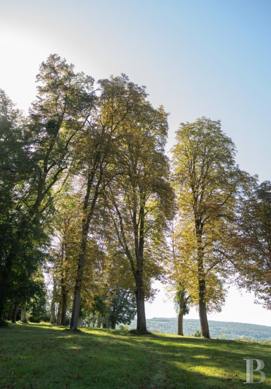 chateaux for sale France picardy   - 15