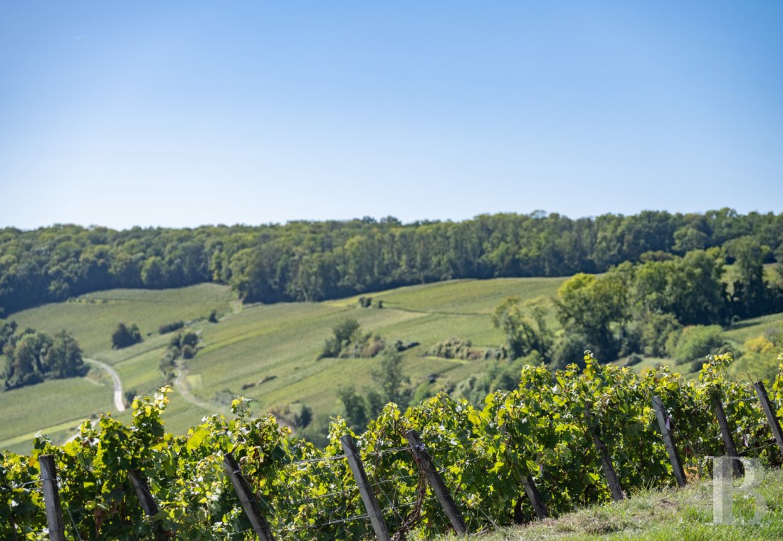 chateaux for sale France picardy   - 21