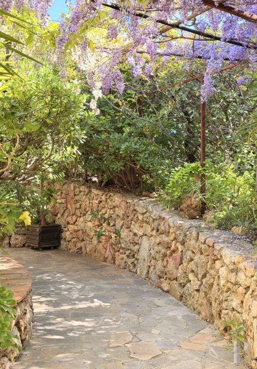 character properties France provence cote dazur   - 8