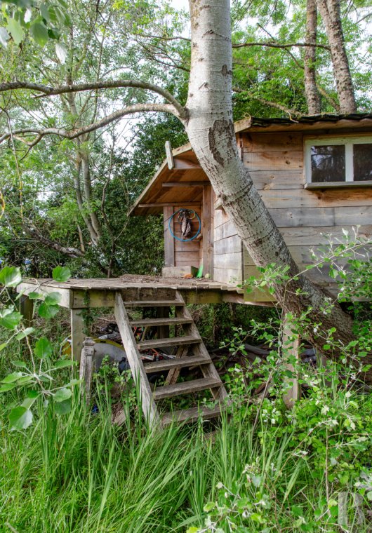 character properties France poitou charentes   - 10