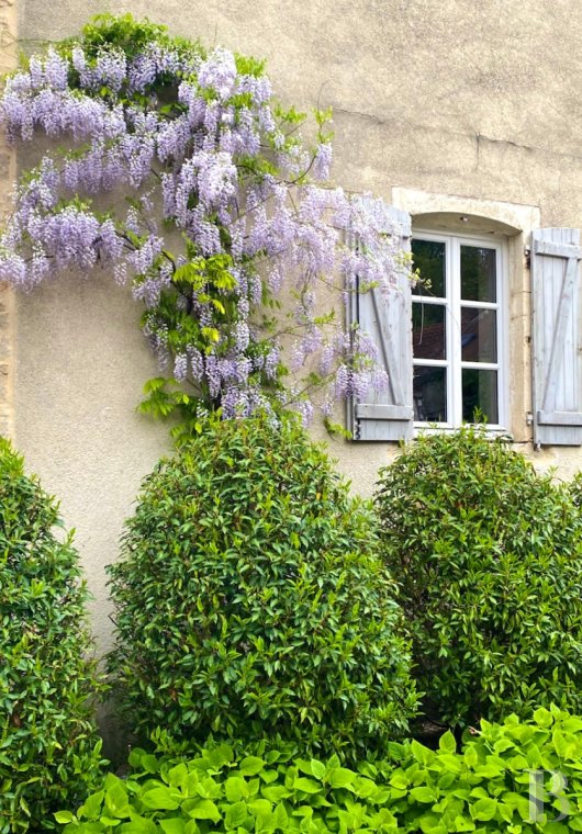 french village houses for sale burgundy   - 2