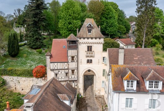 ile-de-france - À 30 km au nord de Paris, près de Chantilly,  une demeure atypique avec jardin paysager et vue dégagée