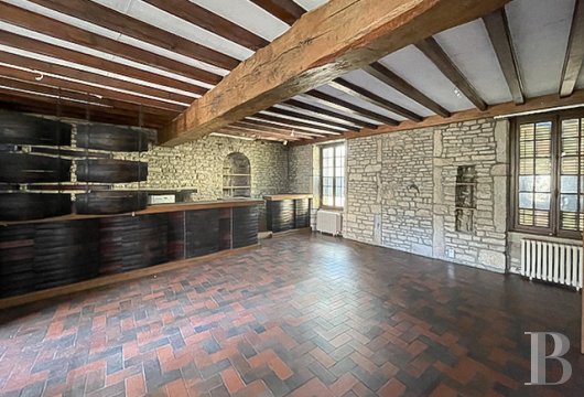 vineyards for sale France burgundy   - 6