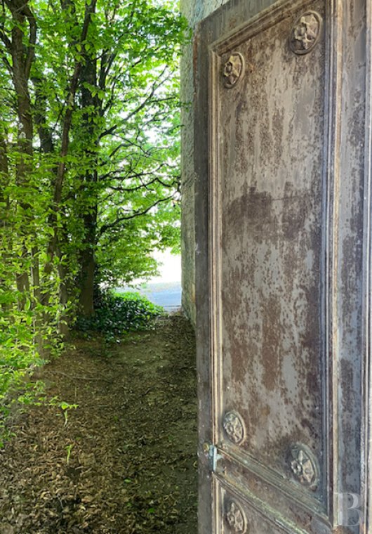 vineyards for sale France burgundy   - 15