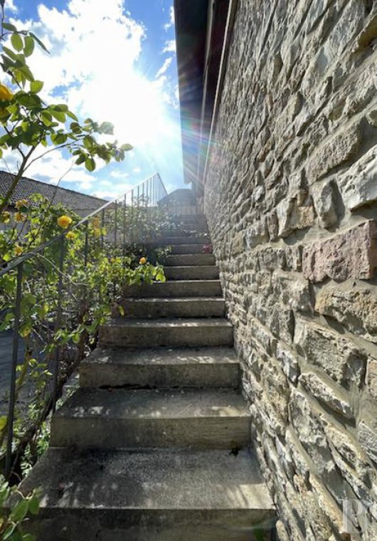 vineyards for sale France burgundy   - 14