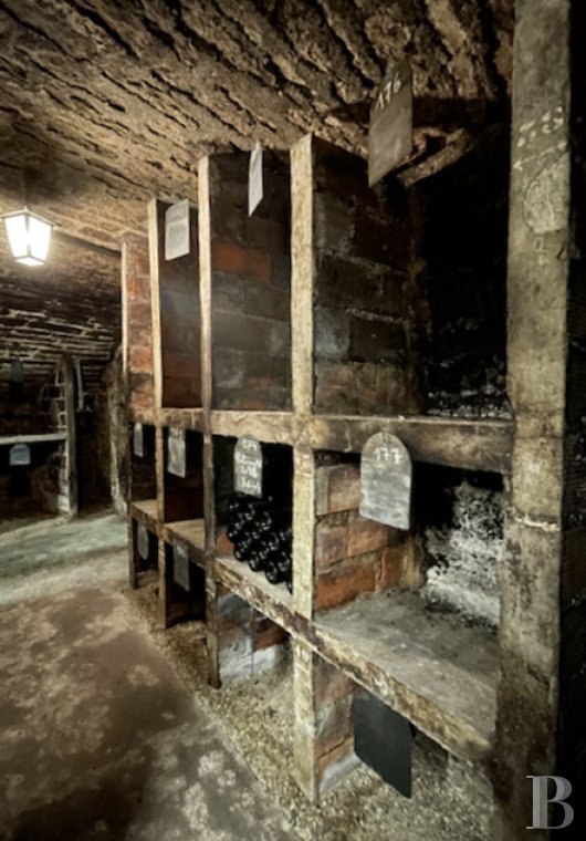 vineyards for sale France burgundy   - 11