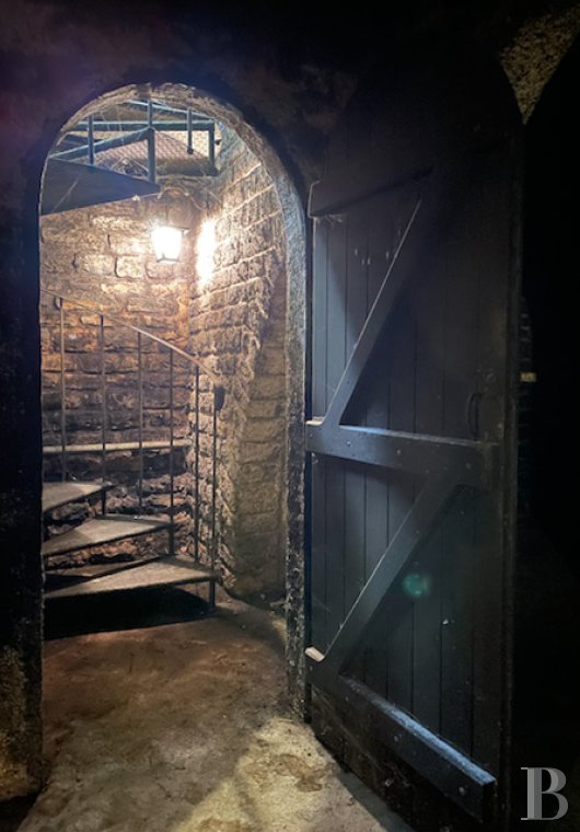 vineyards for sale France burgundy   - 7