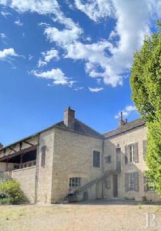 vineyards for sale France burgundy   - 3