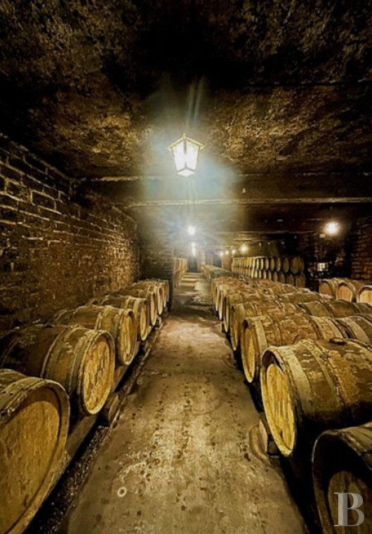 vineyards for sale France burgundy   - 10