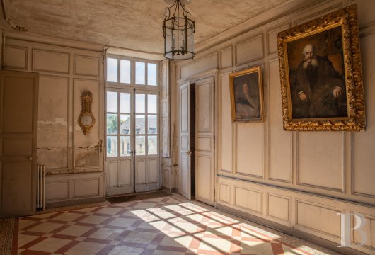 chateaux for sale France pays de loire   - 14