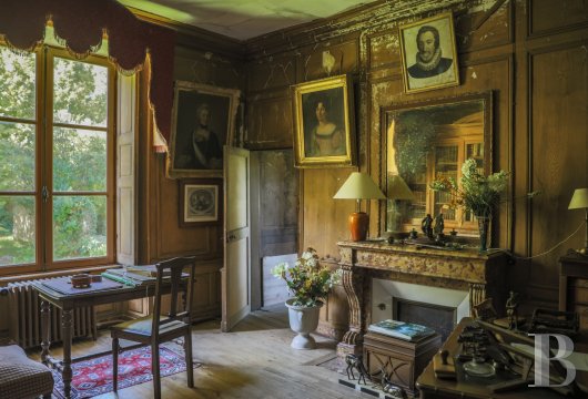 chateaux for sale France pays de loire   - 16