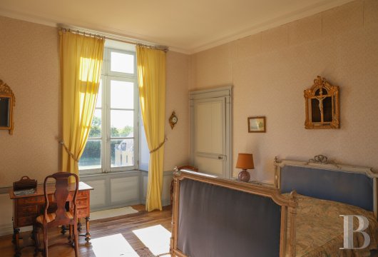 chateaux for sale France pays de loire   - 17