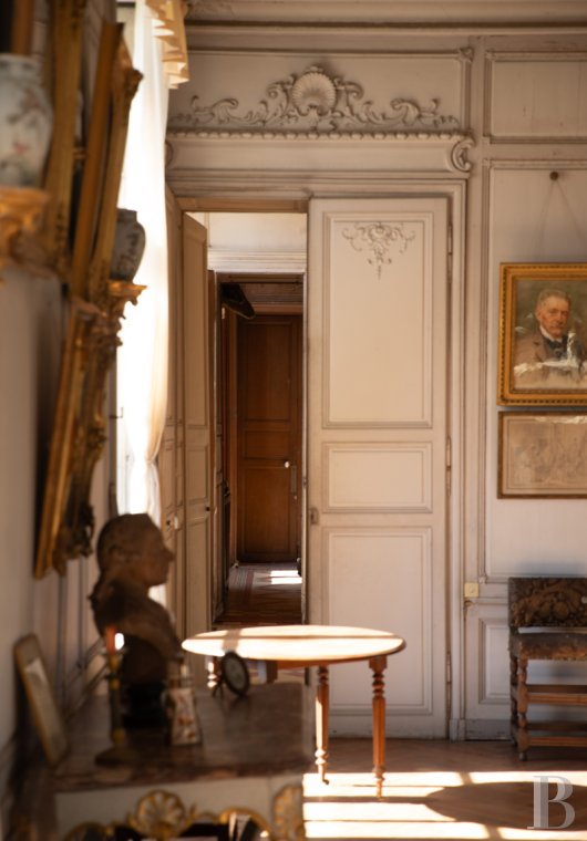 chateaux for sale France pays de loire   - 10