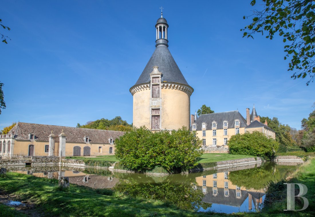 chateaux for sale France pays de loire   - 8