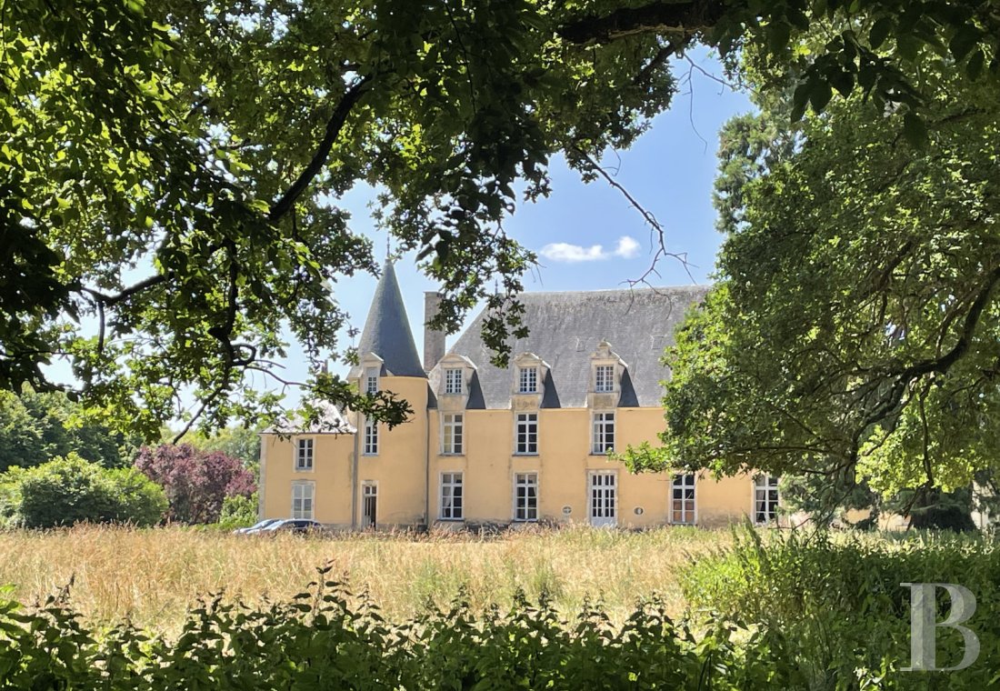 chateaux for sale France pays de loire   - 7