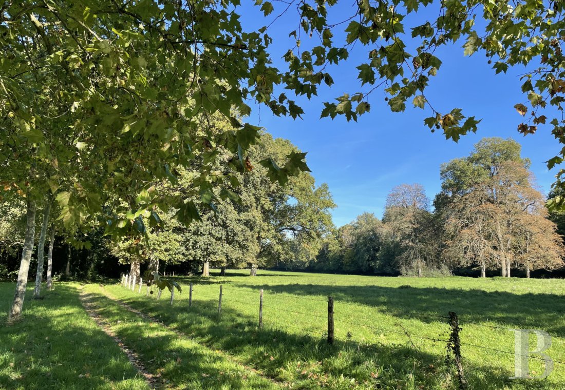 chateaux for sale France pays de loire   - 22