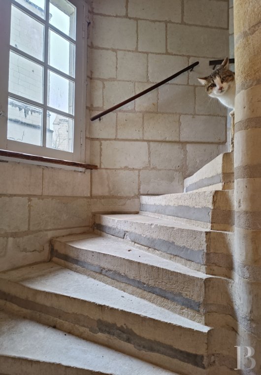 property for sale France pays de loire   - 10