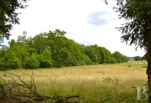 maisons de caractere a vendre bourgogne   - 18