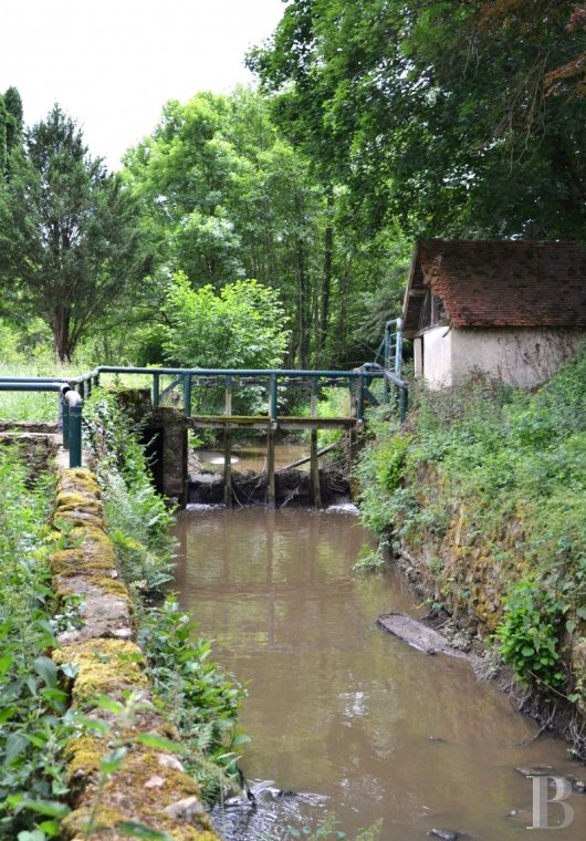 Character houses for sale - burgundy - En Bourgogne, dans le charolais, un ancien moulin à rénover et sa maison d’amis, avec prairies, parc et étang sur plus de 5 ha
