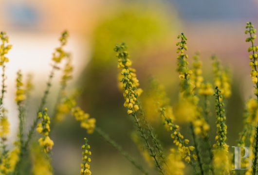 french village houses for sale ile de france   - 13