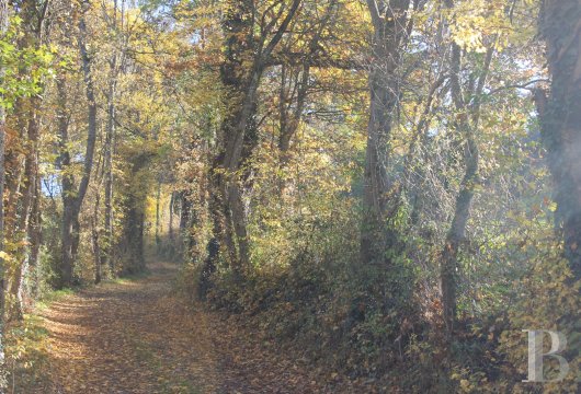 character properties France auvergne   - 8